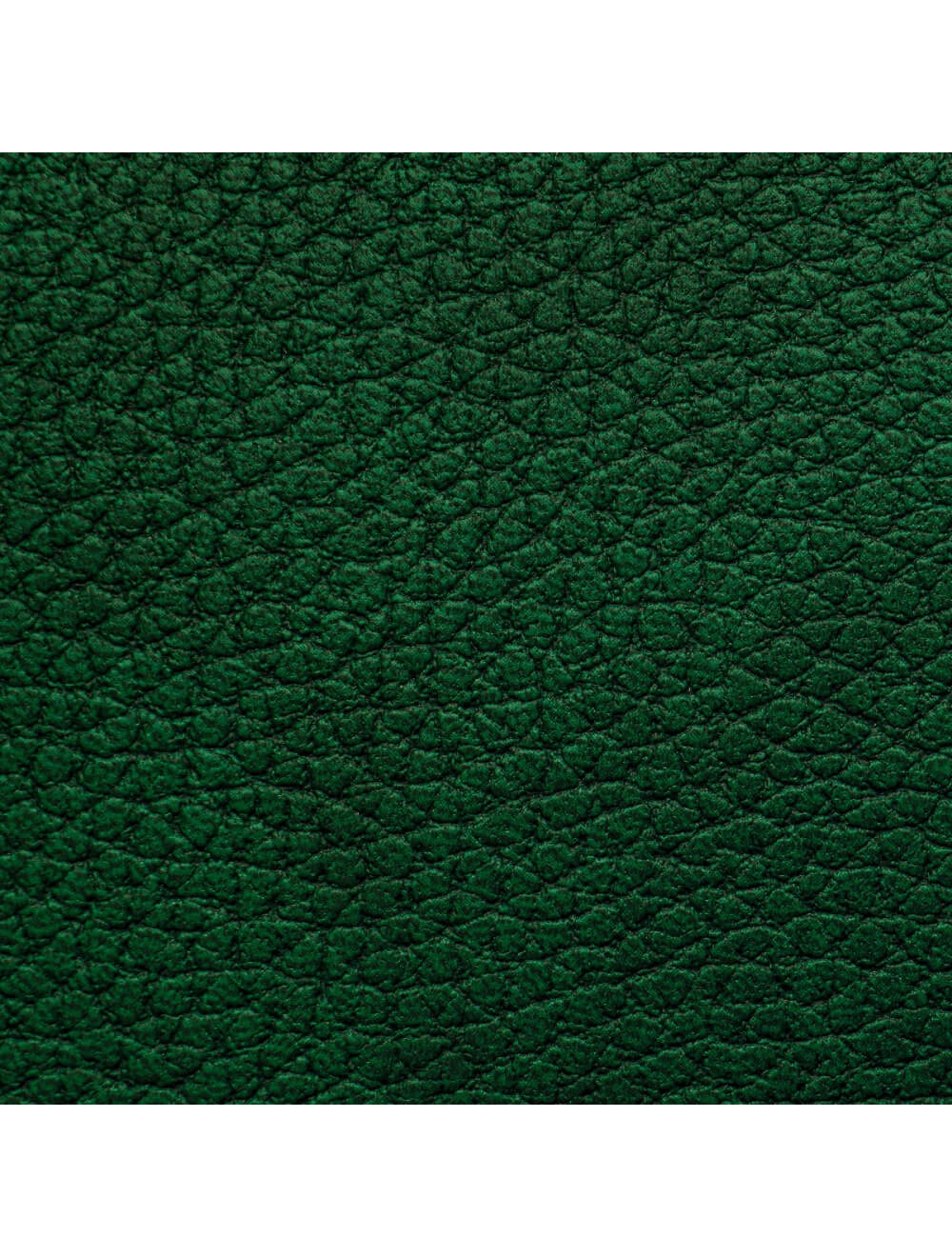 Dublin Green Material Swatch (4720)